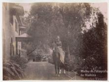 Retrato de uma mulher a cavalo no jardim de uma quinta não identificada, na Ilha da Madeira