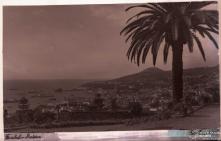 Baía e cidade do Funchal