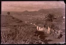 Baía e cidade do Funchal