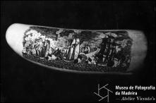 Dente de cachalote com a representação de uma frota naval de guerra, gravação de Manuel Cunha