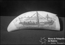 Dente de cachalote com a representação de uma embarcação navegando à vista, gravação de Manuel Cunha