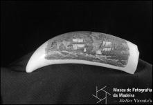 Dente de cachalote com a representação de uma frota naval de guerra, gravação de Manuel Cunha