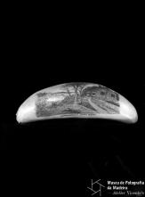 Dente de cachalote com a representação do tema "WASHINGTON BIRTH PACE", gravação de Manuel Cunha
