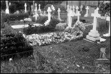 Campa no cemitério inglês, Freguesia da Sé, Concelho do Funchal