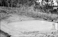 Campo de golfe "Favellas" do Santo da Serra, Freguesia de Santo António da Serra, Concelho de Machico
