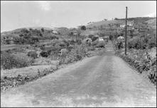 Estrada de ligação entre o sítio da Cancela e o centro do Caniço (atual estrada do Garajau), Freguesia do Caniço, Concelho de Santa Cruz