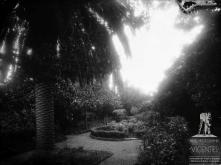 Jardim da Quinta Vista Alegre (antiga Quinta Stanford), Freguesia de São Martinho, Concelho do Funchal
