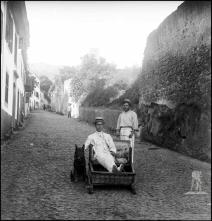 Descida em carro de cesto na rua de Santa Luzia, Freguesia de Santa Luzia, Concelho do Funchal
