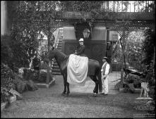 Mulher montada a cavalo no pátio da Photographia Vicentes, Freguesia da Sé, Concelho do Funchal