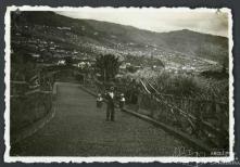 Leiteiro, na Quinta da Achada (atual Quinta Jardins do Lago), Freguesia de São Pedro, Concelho do Funchal