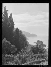 Molhe da Pontinha visto a partir do jardim do Atlantic Hotel, Freguesia da Sé, Concelho do Funchal