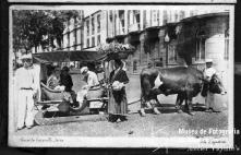 Carro de bois e florista no largo da Sé (atual largo D. Manuel I), Freguesia da Sé, Concelho do Funchal