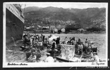 Bomboteiros, na baía do Funchal