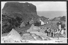 Borracheiros na Freguesia do Porto da Cruz, Concelho de Machico