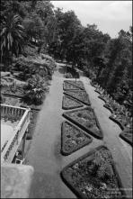 Jardim do Colégio do Infante D. Henrique, Freguesia do Monte, Concelho do Funchal