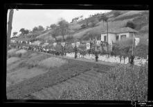 Procissão do Corpo de Deus percorrendo o caminho do Trapiche, nas imediações da capela da Casa de Saúde São João de Deus, Freguesia de Santo António, Concelho do Funchal