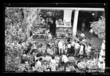 Venda de frutas e legumes no Mercado dos Lavradores, Freguesia da Santa Maria Maior, Concelho do Funchal