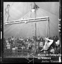 Número de trapezistas do Circo Espanha Lusitano, Freguesia de Santo António, Concelho do Funchal