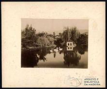 Lago do Jardim Municipal do Funchal, Freguesia de São Pedro (atual Freguesia da Sé), Concelho do Funchal