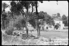 Quinta Pavão, Freguesia de São Pedro (atual Freguesia da Sé), Concelho do Funchal