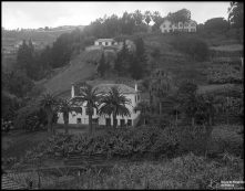 Quinta Valentim, Freguesia de São Pedro, Concelho do Funchal