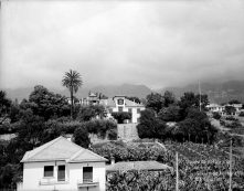 Quinta Favila, na rua do Favila, Freguesia da Sé, Concelho do Funchal