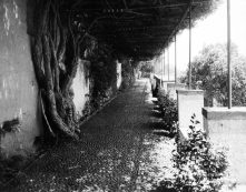 Corredor exterior da Quinta Favila, na rua do Favila, Freguesia da Sé, Concelho do Funchal
