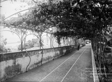 Entrada da Quinta Holloway, na travessa do Coronel Cunha (atual rua do Coronel Cunha), Freguesia de Santa Maria Maior, Concelho do Funchal