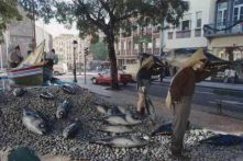 Exposição alusiva a Pesca Artesanal montada no âmbito das Festas de Natal e Final de Ano na placa central da avenida Arriaga, Freguesia da Sé, Concelho do Funchal 