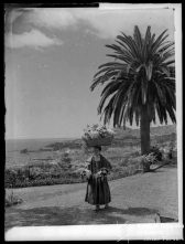 Florista, Freguesia de São Gonçalo, Concelho do Funchal