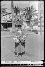 Florista, junto à praça do Marquês de Pombal (atual avenida do Mar e das Comunidades Madeirenses, Freguesia da Sé, Concelho do Funchal